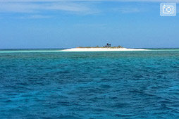 Кайт-сафари на остров Секо: белый песок, три с половиной пальмы, друзья и кайтсерфинг.